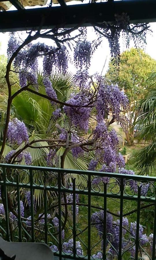 La Maison Botanique 卡斯提永拉巴泰伊 外观 照片